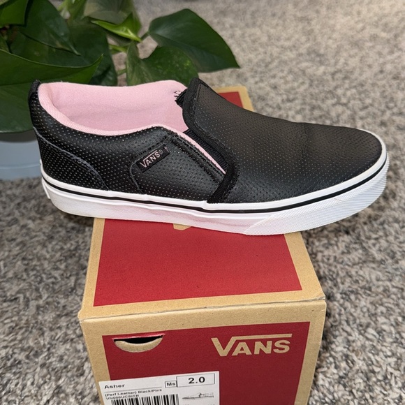 Vans - Picture 6 of 12